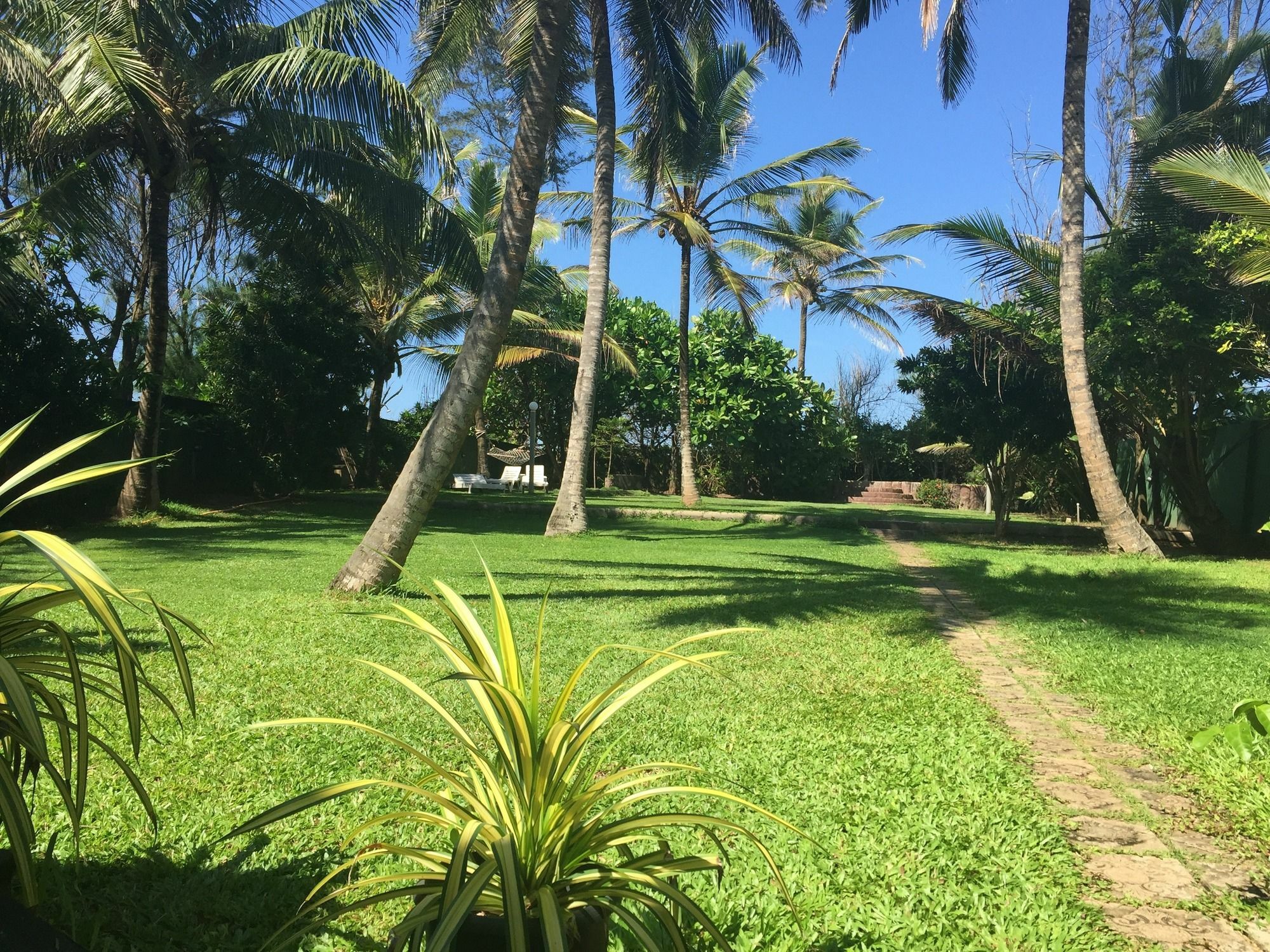 Ziegler Cottage Negombo Eksteriør bilde